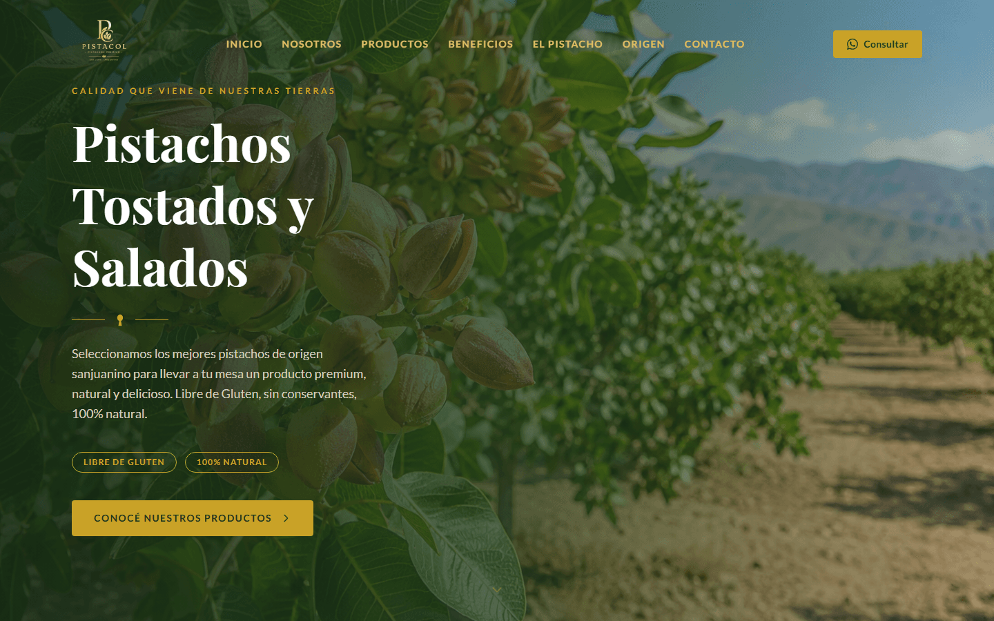 Captura de pantalla de Pistacol
